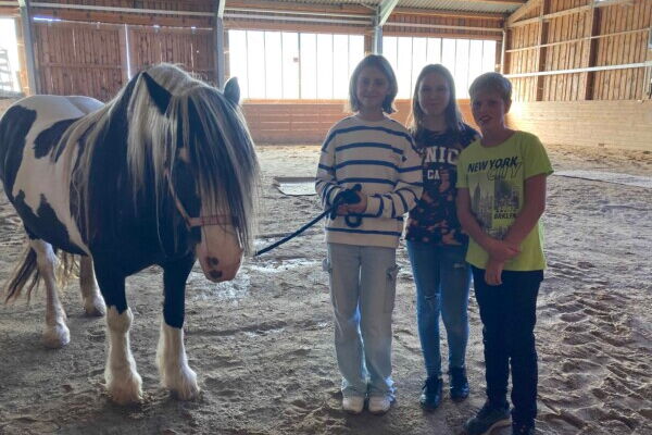 Kinder führen ein Großpony in der Reithalle