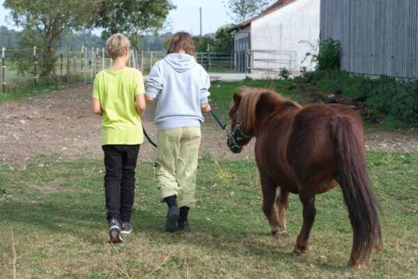 Kinder führen ein Pony auf einer Koppel